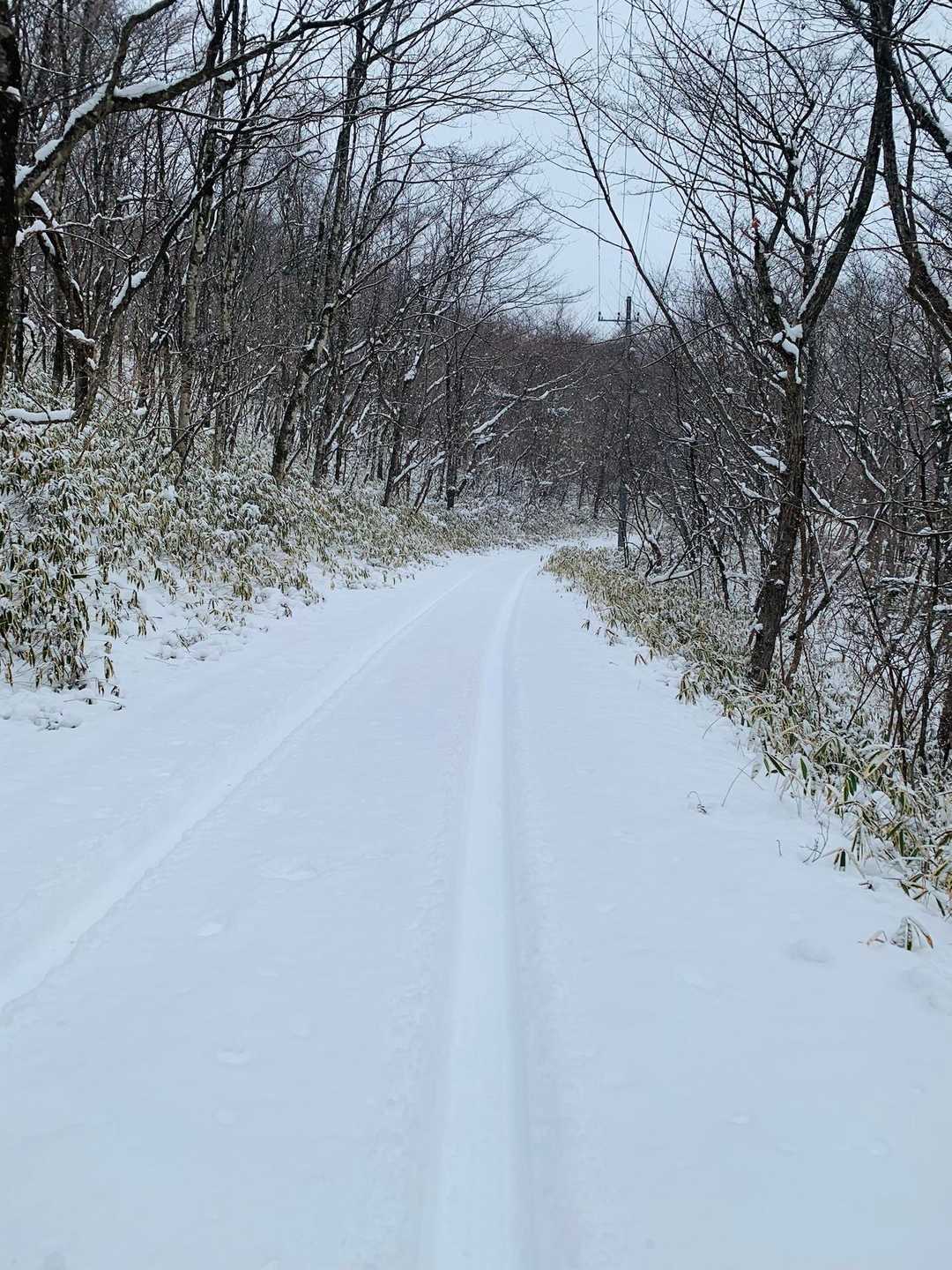 フワフワ雪は楽しいが、下のアスファルトがガリガリに凍ってて　すべるんだわ笑