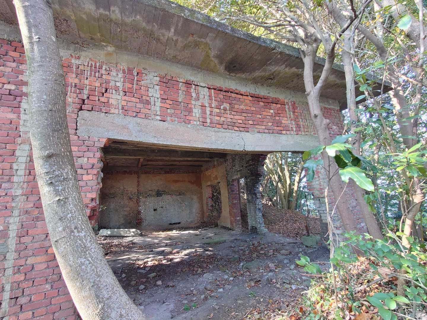 尻高山登山口-尻高山-高壺山-砲台山-小深浦山-観音道登り 周回コースの写真