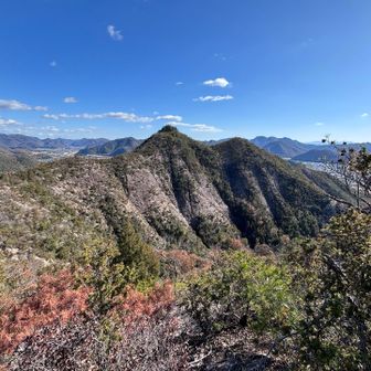 今日は行かないよ