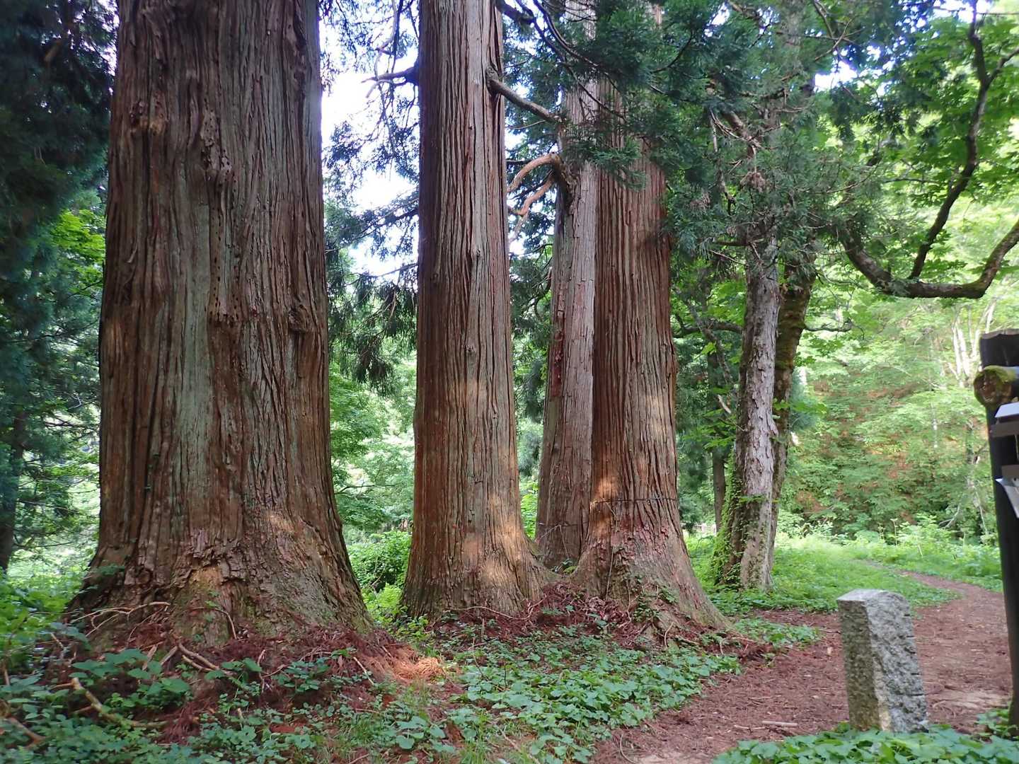 登山口に戻って来ました👍