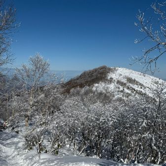 山頂はあっち、見た目ほど遠くないです