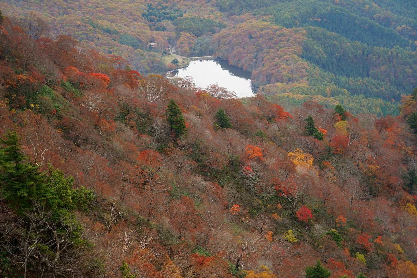 西岳登山口-第一峰-西岳-戸隠山-戸隠奥社 縦走コースの写真