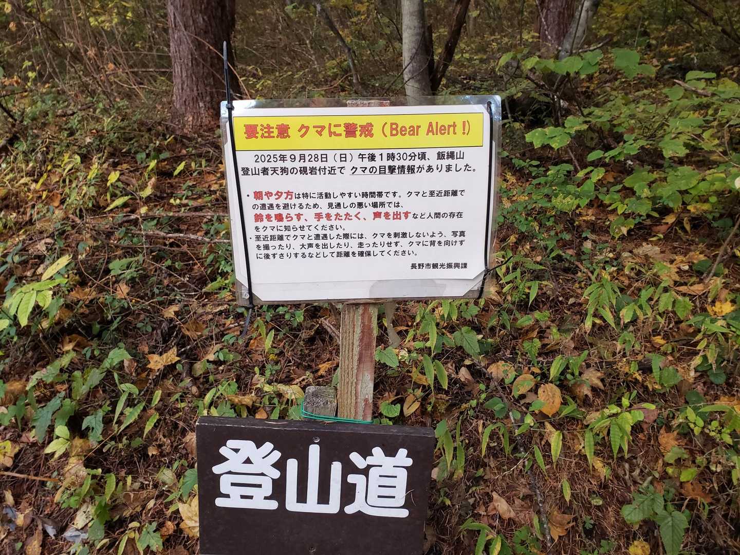 🐻出たようですよ💦