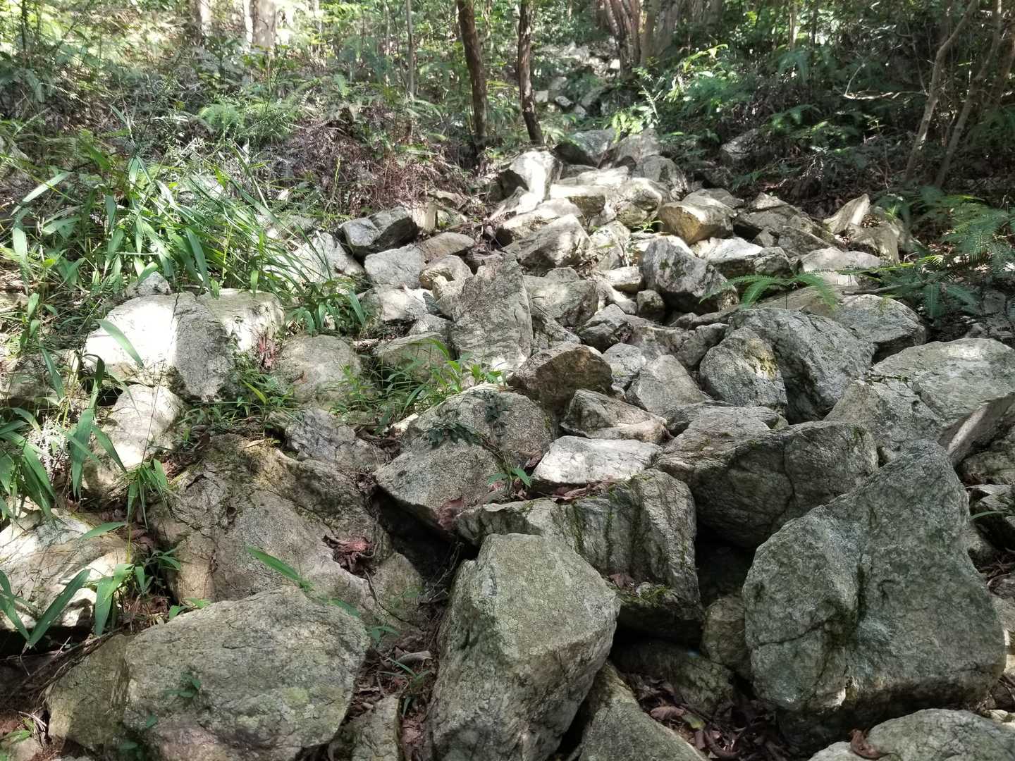 ぐらぐらして楽しい