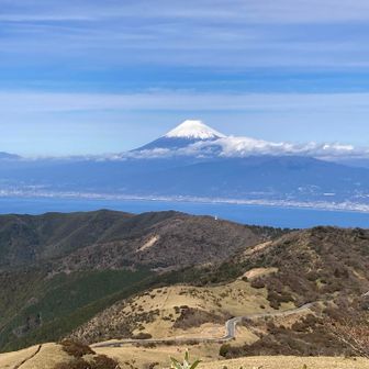 西伊豆スカイラインと、その左手に見える線状の登山道（と言うかハイキングルート）。素晴らしい