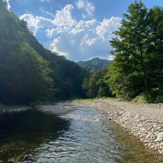 白川に寄り道
この景色！
規模は違いますが上高地気分を味わえました✨
（※個人の感想です)