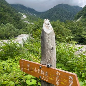 帰って来ました