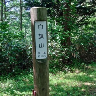 白旗山頂上