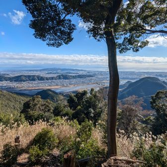 右は先ほどの杉沢山！