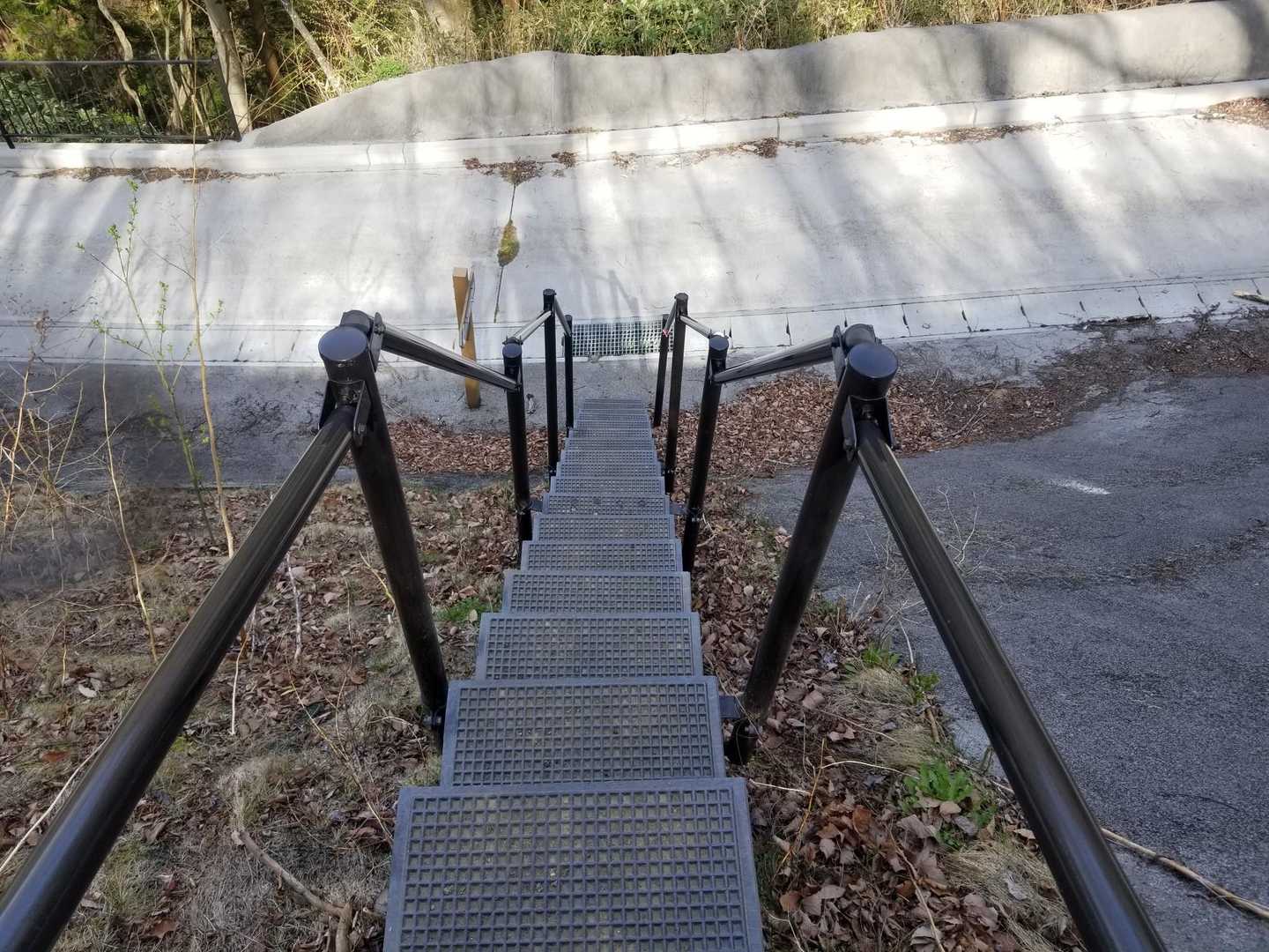 作業林道に一旦出て、