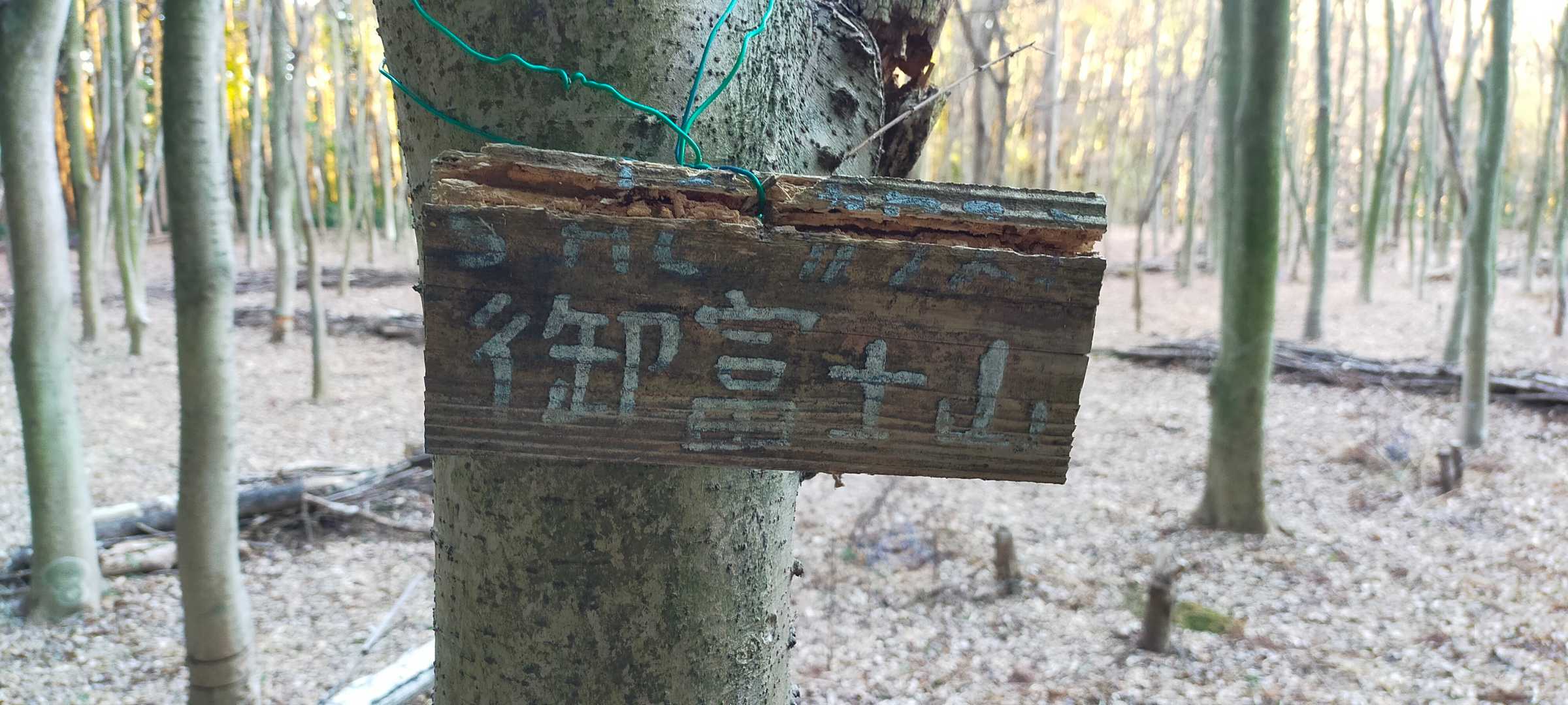 御富士山(おふじやま) 山頂に到着♪
展望ありません