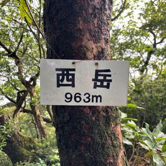 西岳頂上に到着＼( ´･ω･`)┐