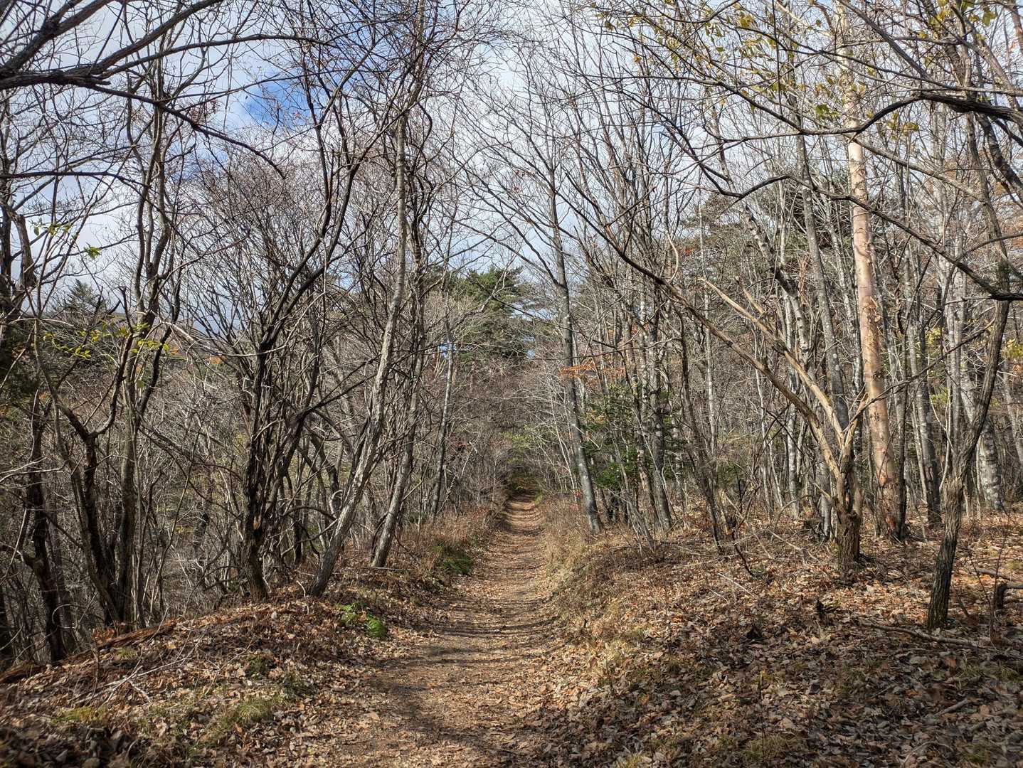 小浅間山登山口-馬返し-小浅間山 往復コースの写真