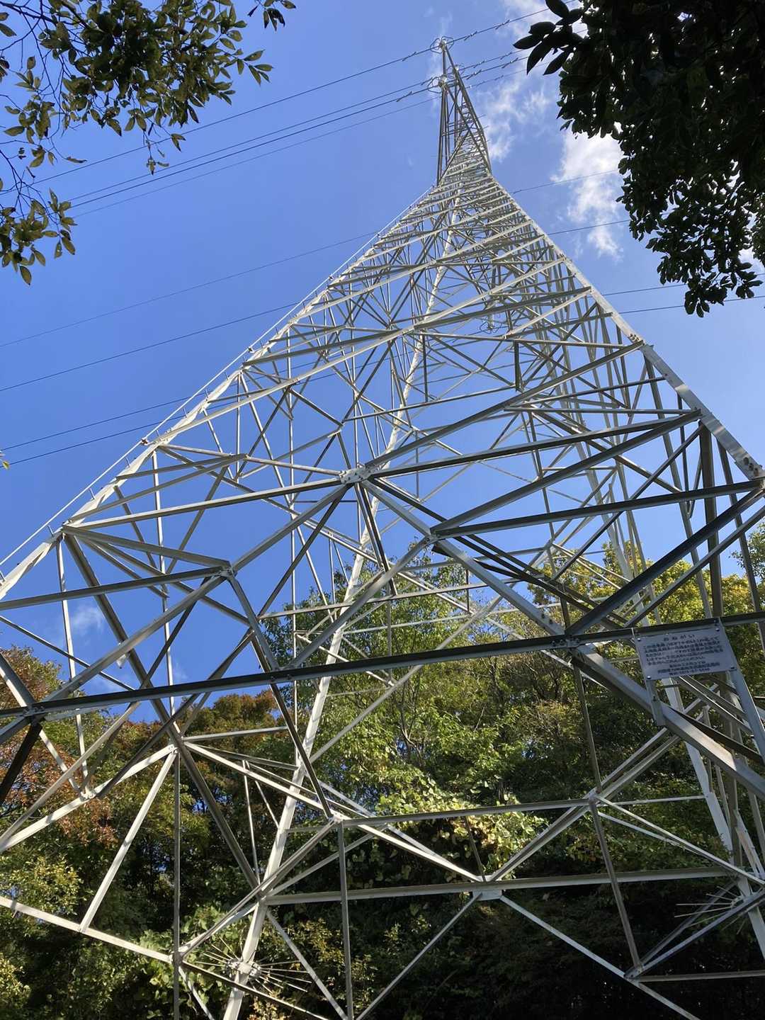 小高見峰からは激下り😆。
日当たりのいい鉄塔に出る。