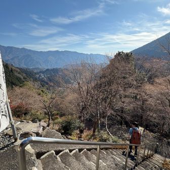 景色もココが見納めかな？
楽しい山行？参道だから参行かな？に感謝を