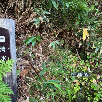 神楽ヶ峰から下る途中に雷清水の湧水。
冷たくてとっても美味しかった。
帰りに汲んで飲みました。