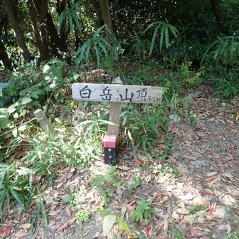 白岳山到着