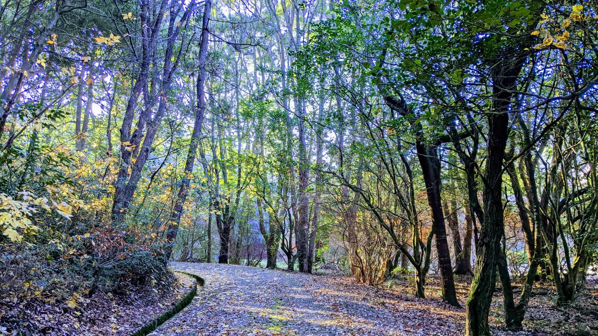 登口から〜🚶