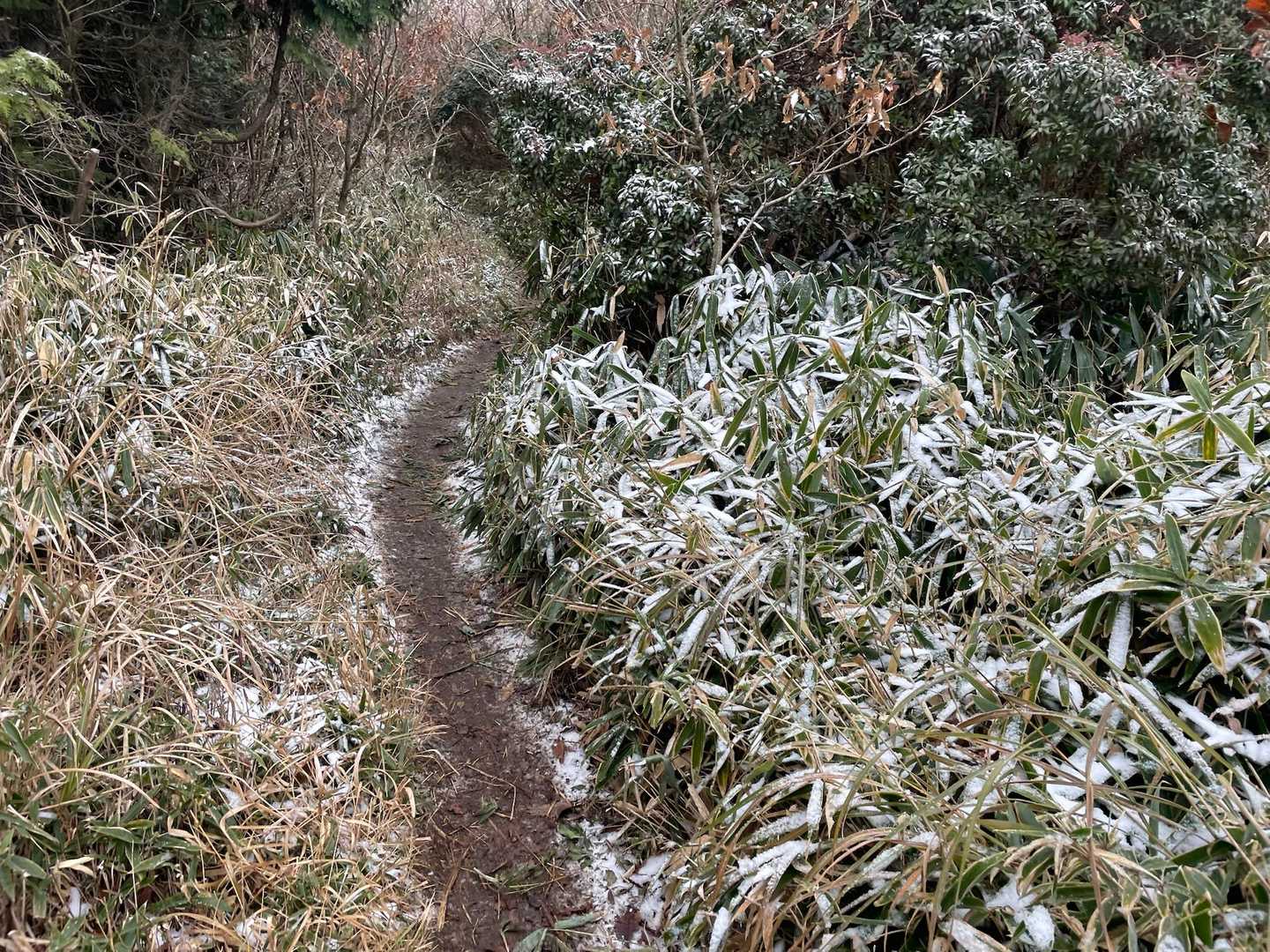 地蔵峠-大矢岳-大矢野岳-太郎ヶ迫-駒返峠 縦走コースの写真