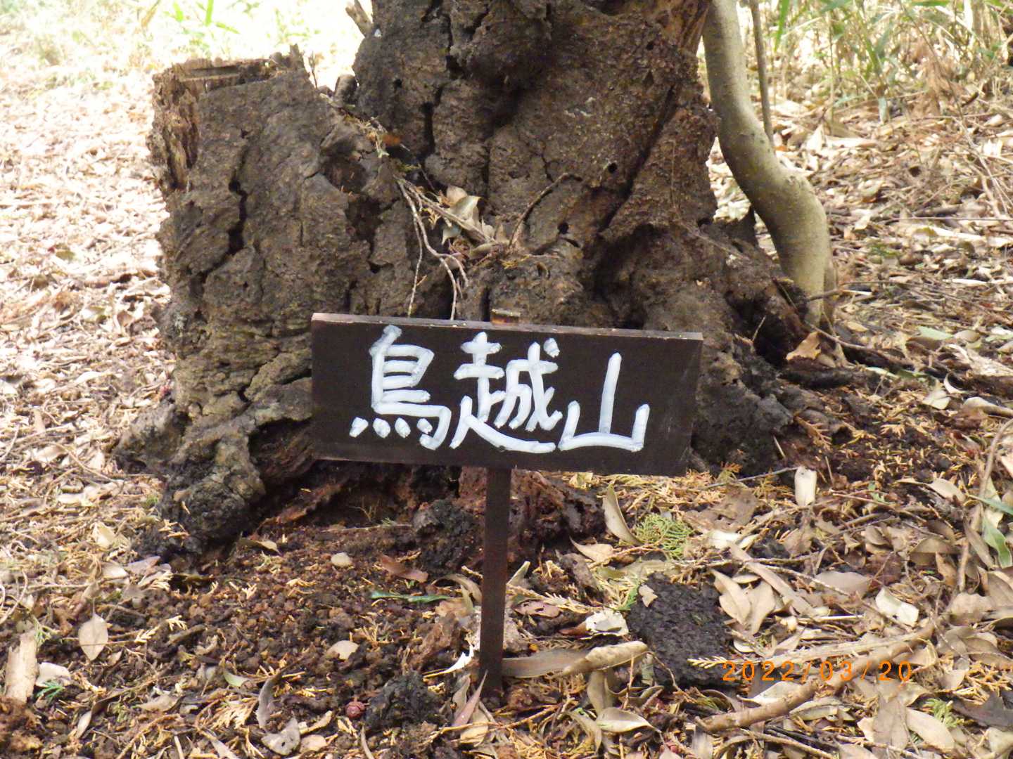 地味な鳥越山の山頂プレート。