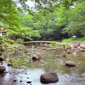 妻は今日横浜アリーナで大泉洋のライブ
ずっと一人で喋ってるんだって、で、知らない歌
歌うんだって、だけど大人気なんだって
