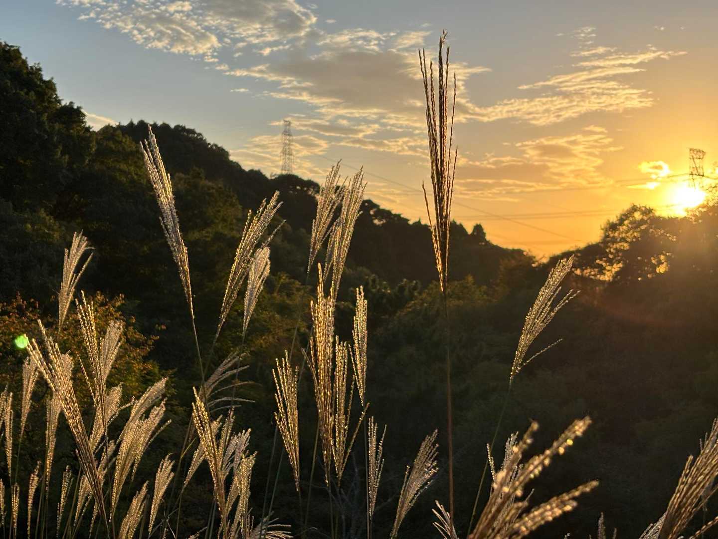 国見山登り口-交野山登り口-交野山 往復コースの写真