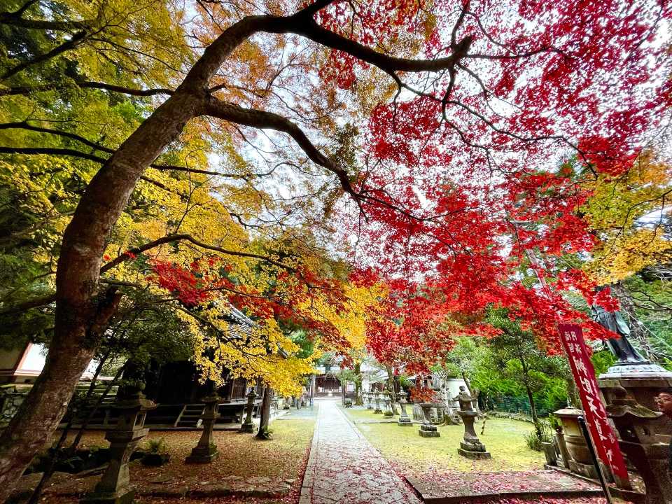 石子詰登山口-天上ヶ岳-三国峠-箕面山 往復コースの地図・登山ルート