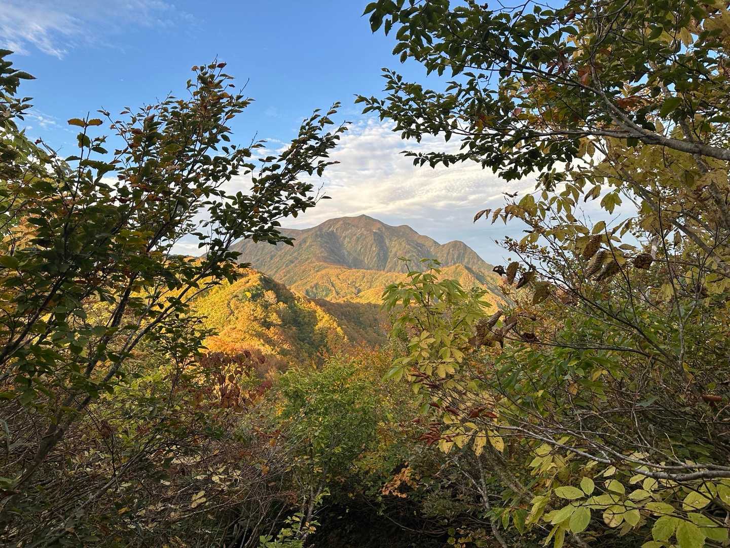 百草ノ池-明神峠-枝折峠 縦走コースの写真