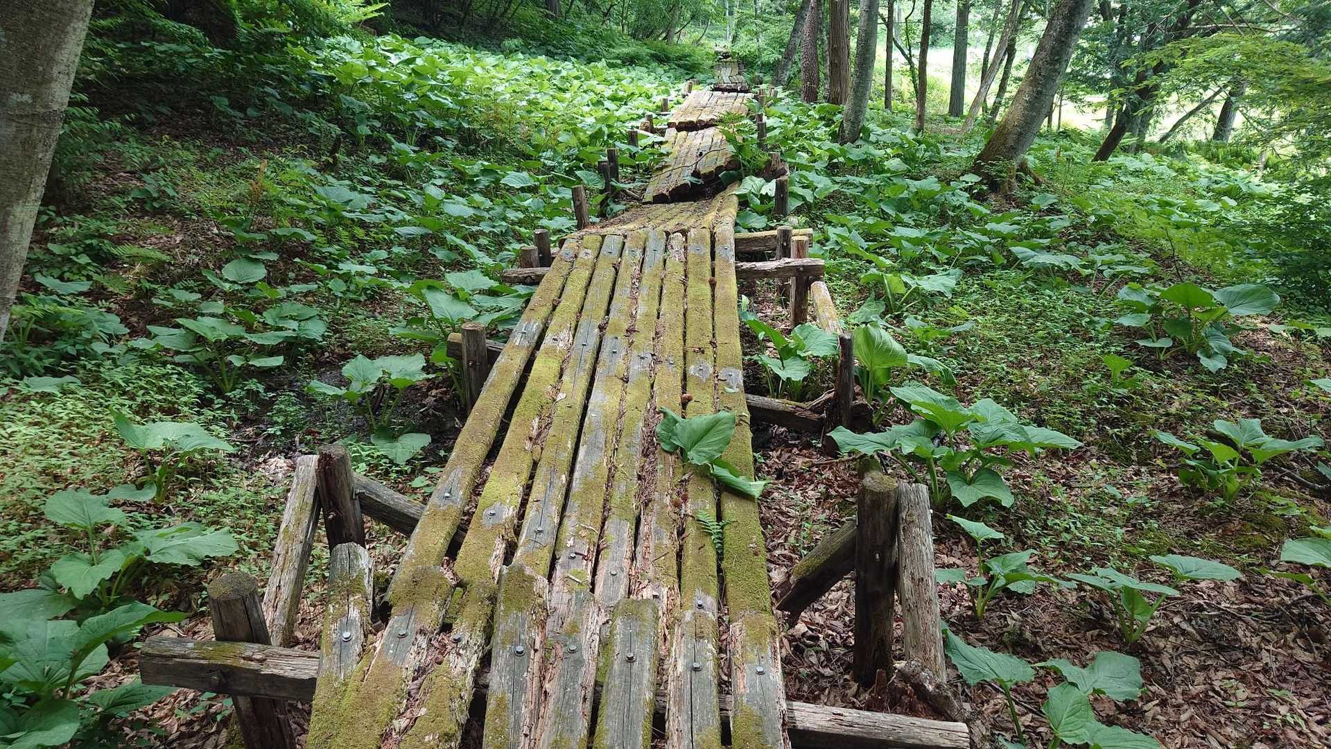 木道がおそろしいことになってます😱