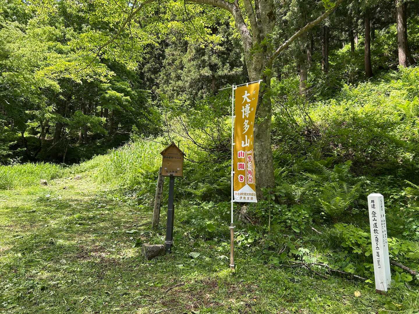 ここが駐車場