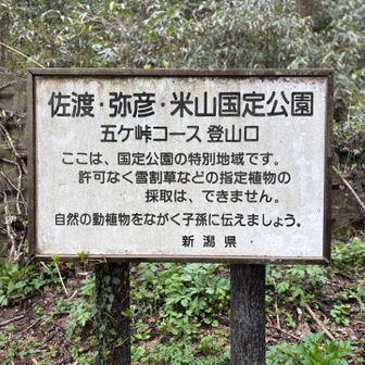 誰もいませんてした笑