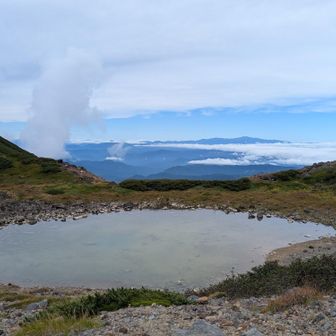 五ノ池。枯れ気味