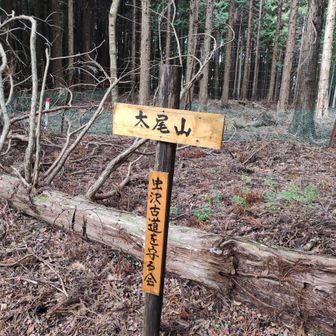 平らな尾根道を歩いて、網に沿って９０度左に折れると太尾山ピークでした。
