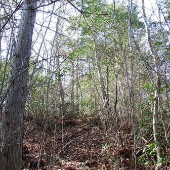 またまた急登～💦