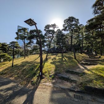 入るとすぐ本日の1座目、三笠山
築山ですね