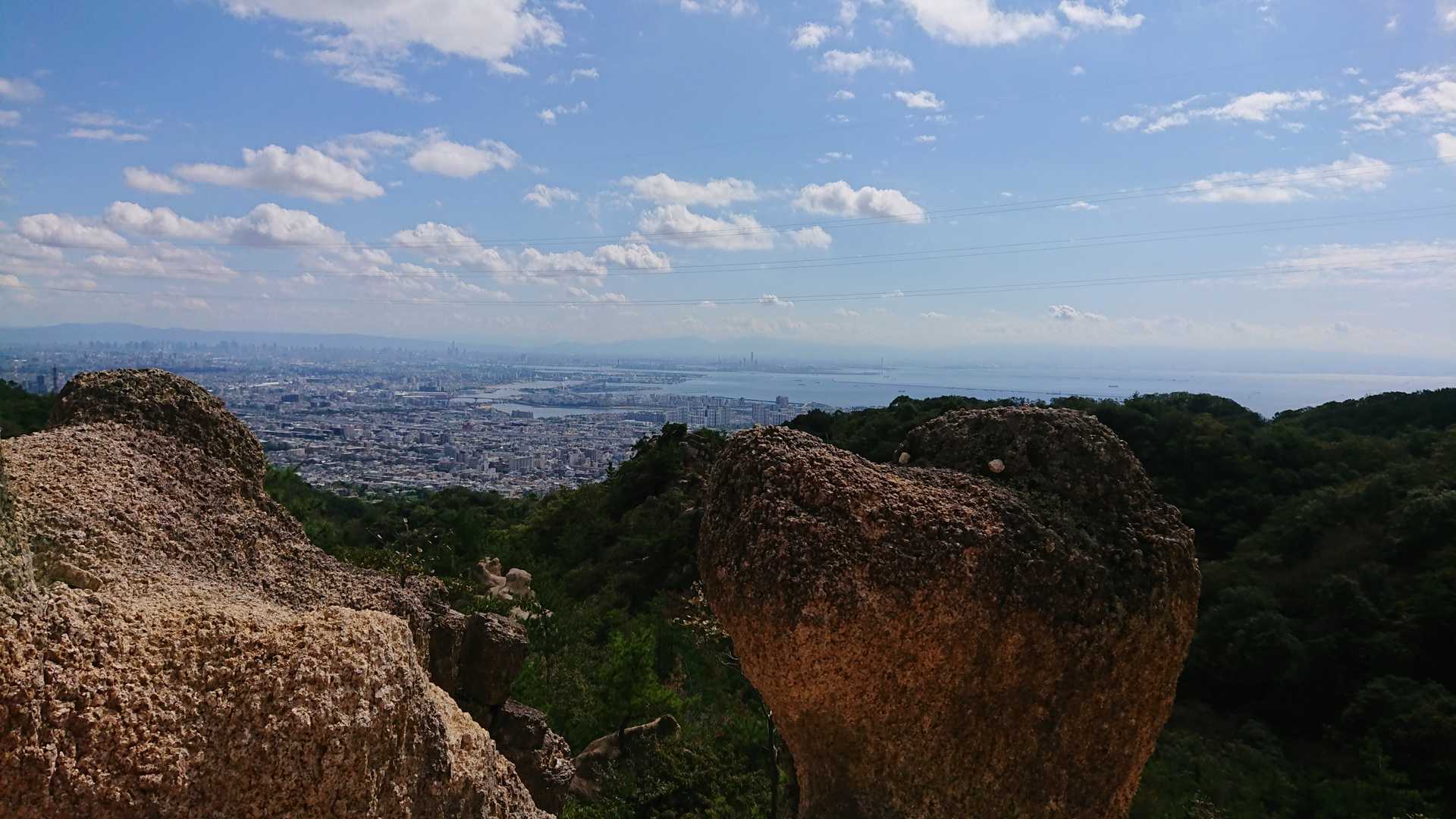 いいお天気だワン