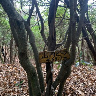 ⑩山内ピーク登頂
眺望なし