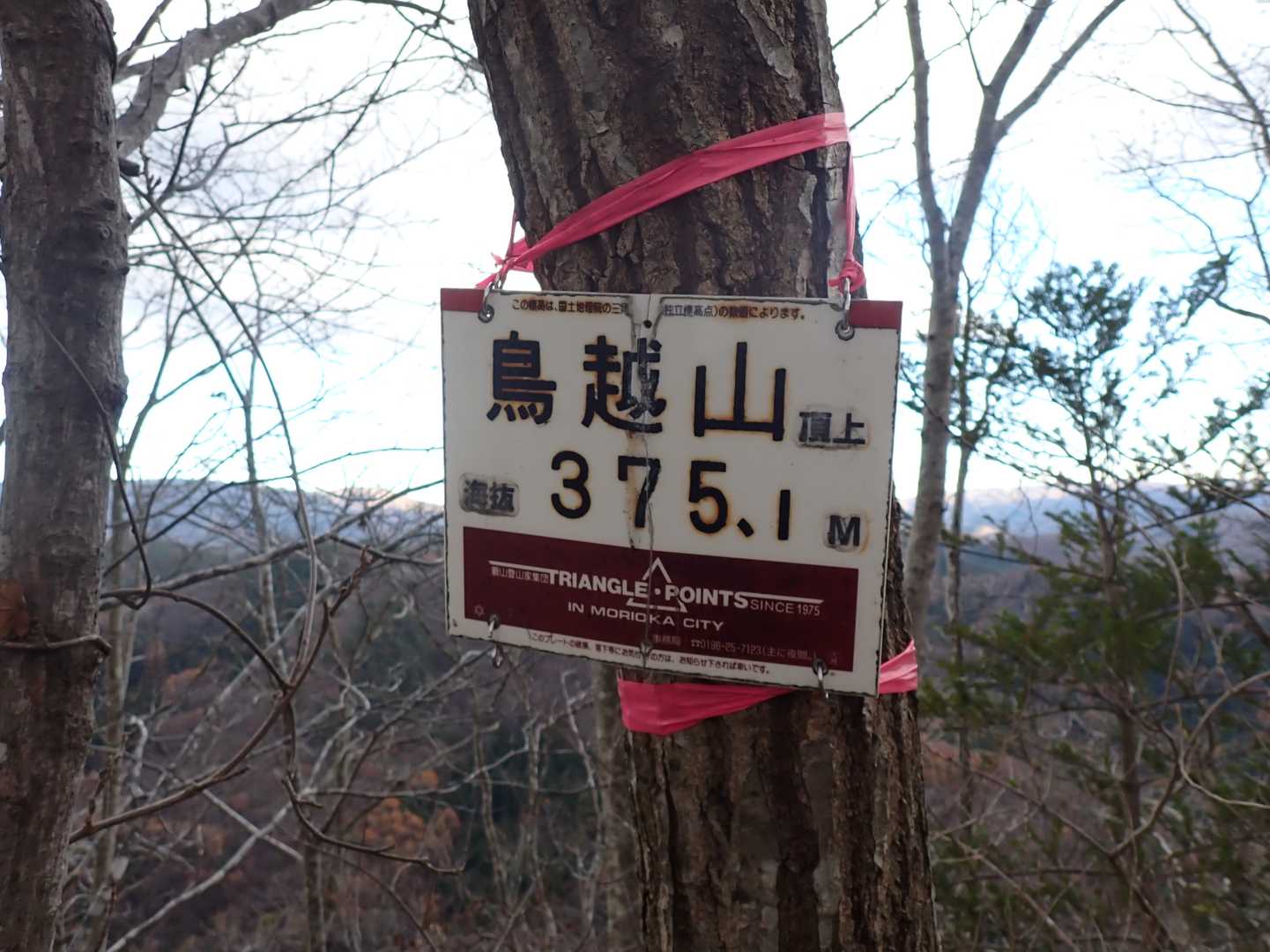 楽な尾根から来ても急登あります😟
観音堂から来るには更に急斜面で怖そう…特に下りが😨
