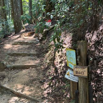 登山口。
急坂コースを行きます😤