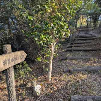 揖斐城址へ🚶‍♂️