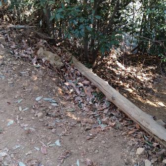 途中で右の雌日和田山へ向かう