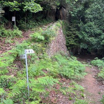 作業エリアの岩屋山へ向かう