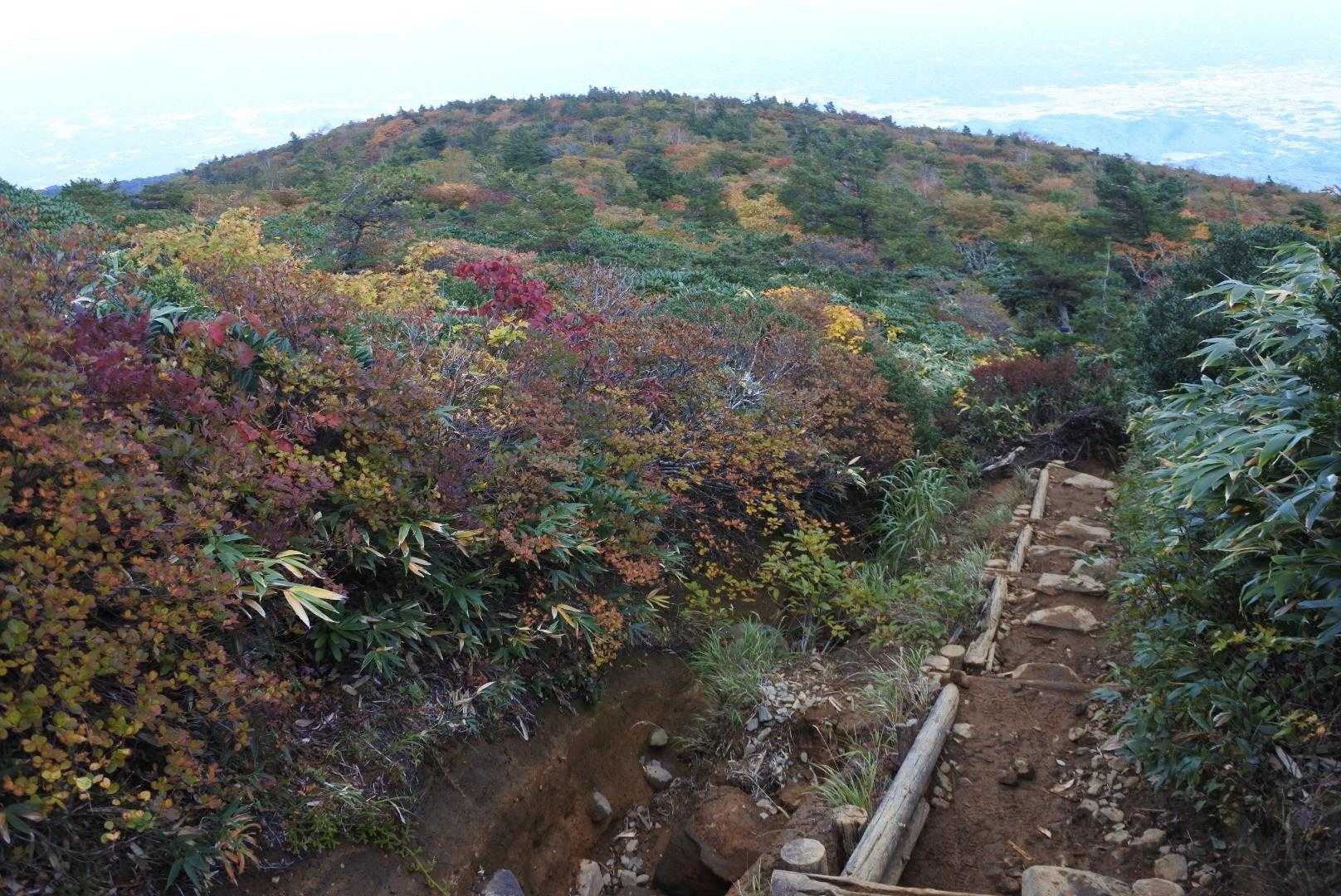 山頂駅-安達太良山 往復コースの写真