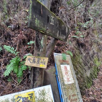右に行けば五丈の滝、左に行けば大鳥屋山

ク🐻マ