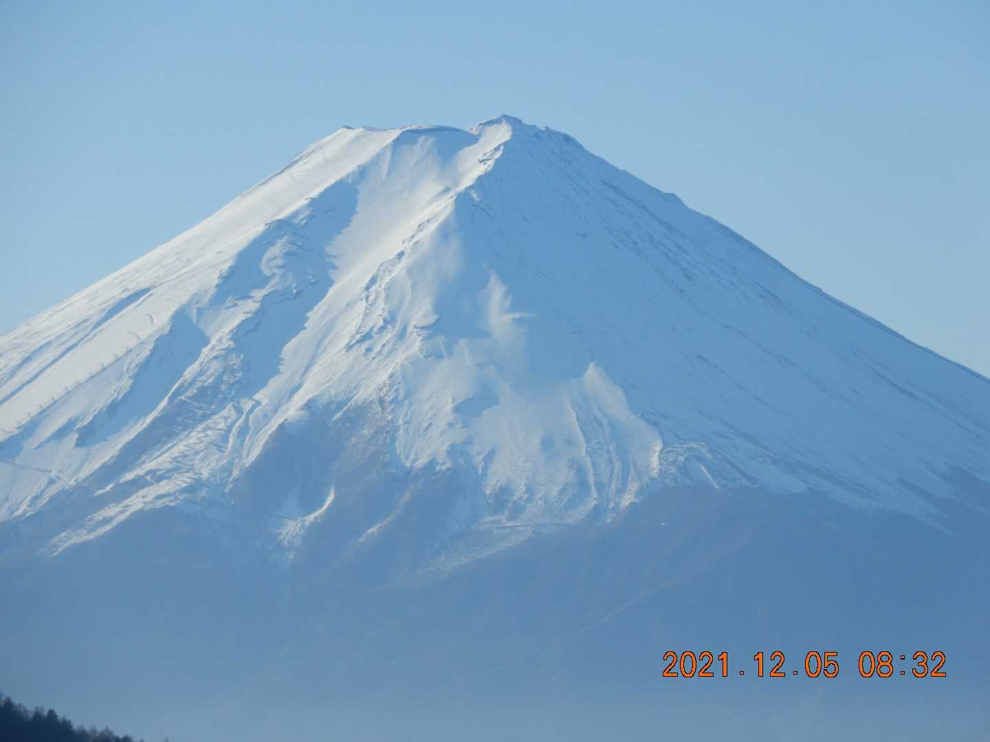 清八山・本社ヶ丸登山口-清八峠-本社ヶ丸 往復コースの写真