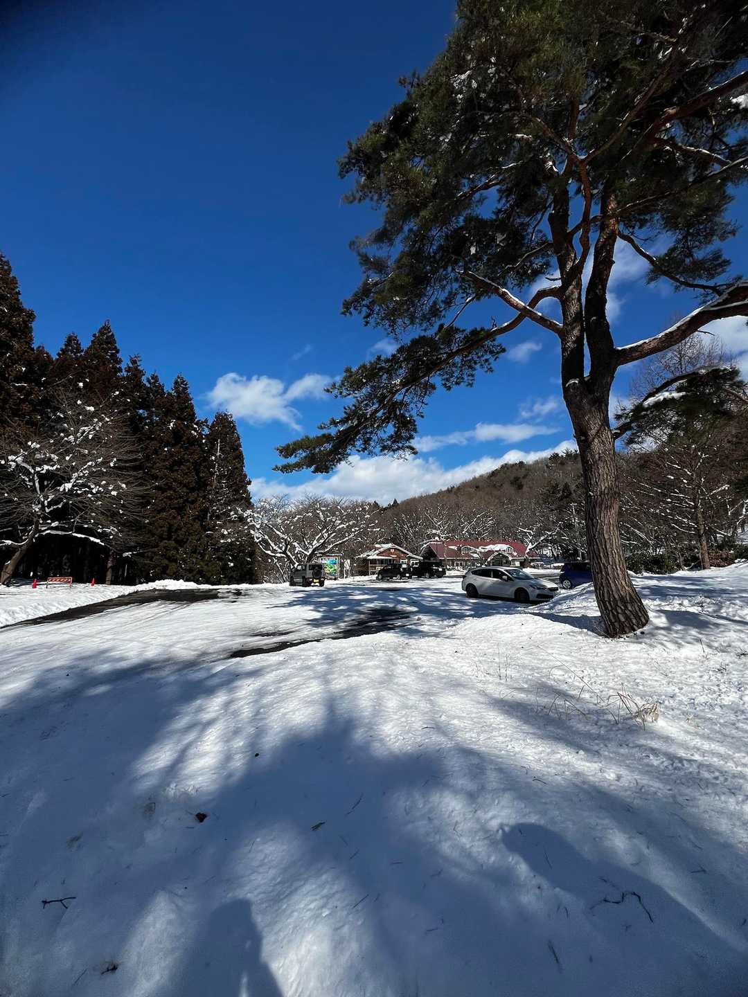 話に花を咲かせすぎて、気がつけばいつもより、1時間も長く掛けて歩いていました🤣　ランチの店は14時までなので急ぎます💨