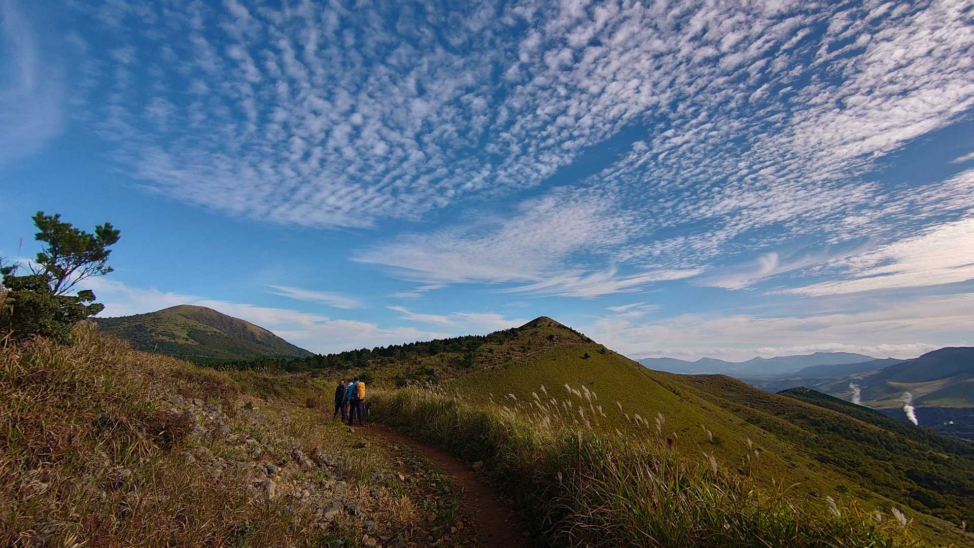 みそこぶし山へ向かう。