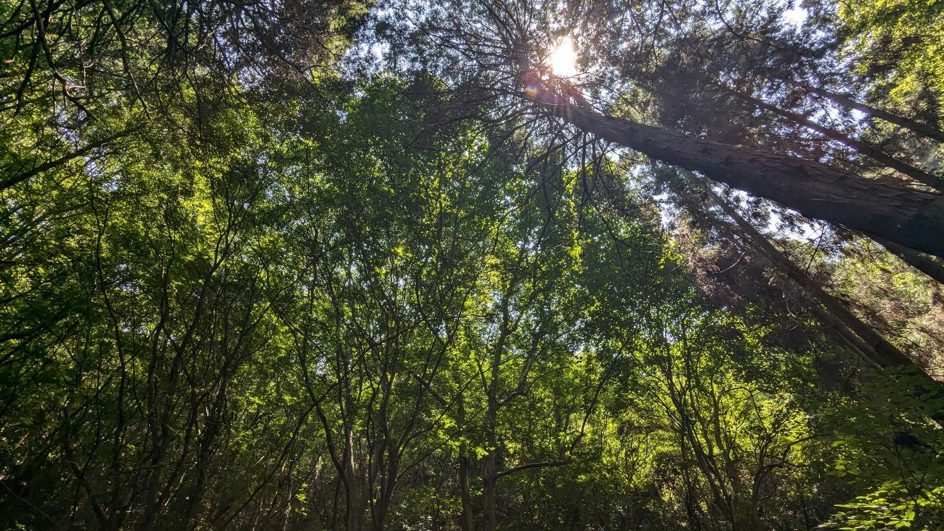 二子山登山口-二子山 周回コースの写真