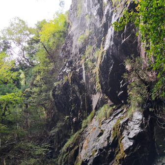 滝の水量は少ない