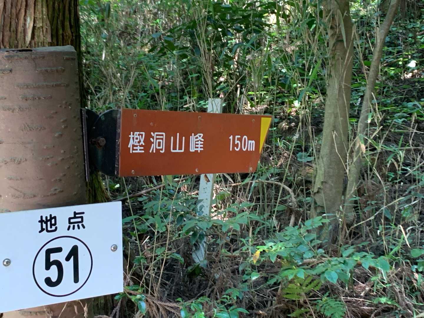 ここが登山口👇